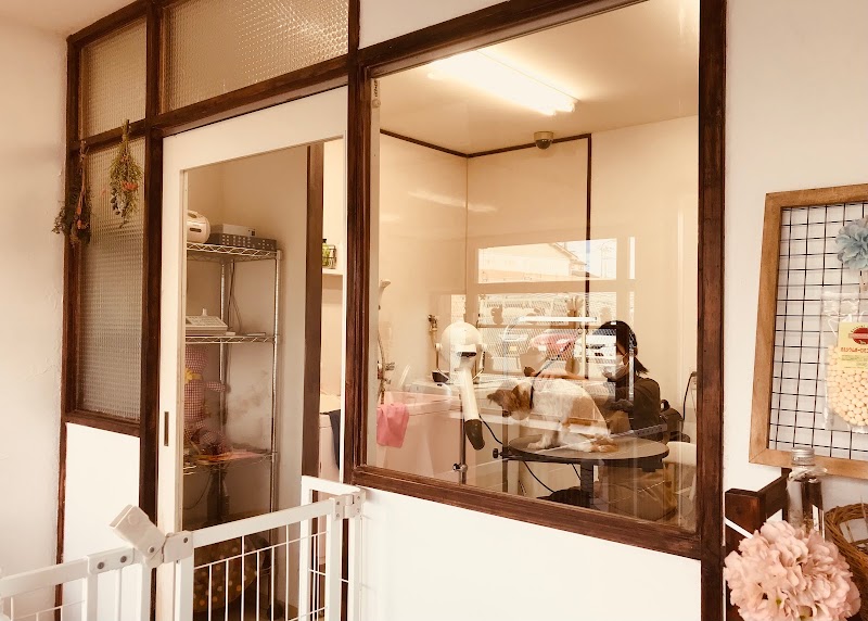 ドッグ デザイン amuu（アムウ）