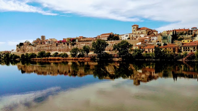 Zamora