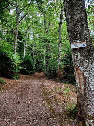 Sentier "Simbert KRENGER"