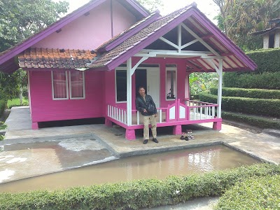 local-government-office