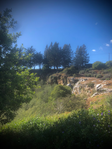 Cowell Lime Works Historic District - Thumbnail
