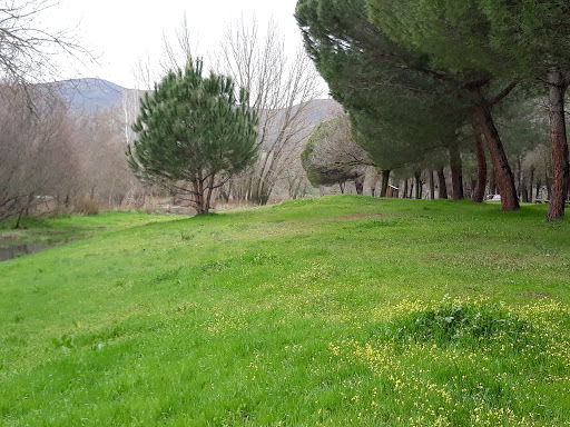 Los Pontones