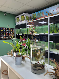 Photo n°13 de Aquatic Forest à Saint-Quentin (Magasin d'aquariophilie)