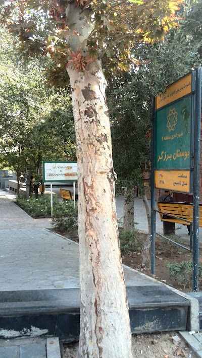 Photos of Barzegar Park
