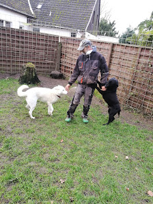 Hundepension vom Biesegrund Dobbrun 60, 39606 Osterburg (Altmark), Deutschland
