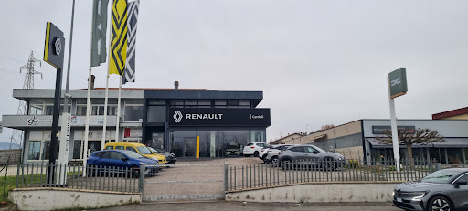 Cardelli Auto - Visual