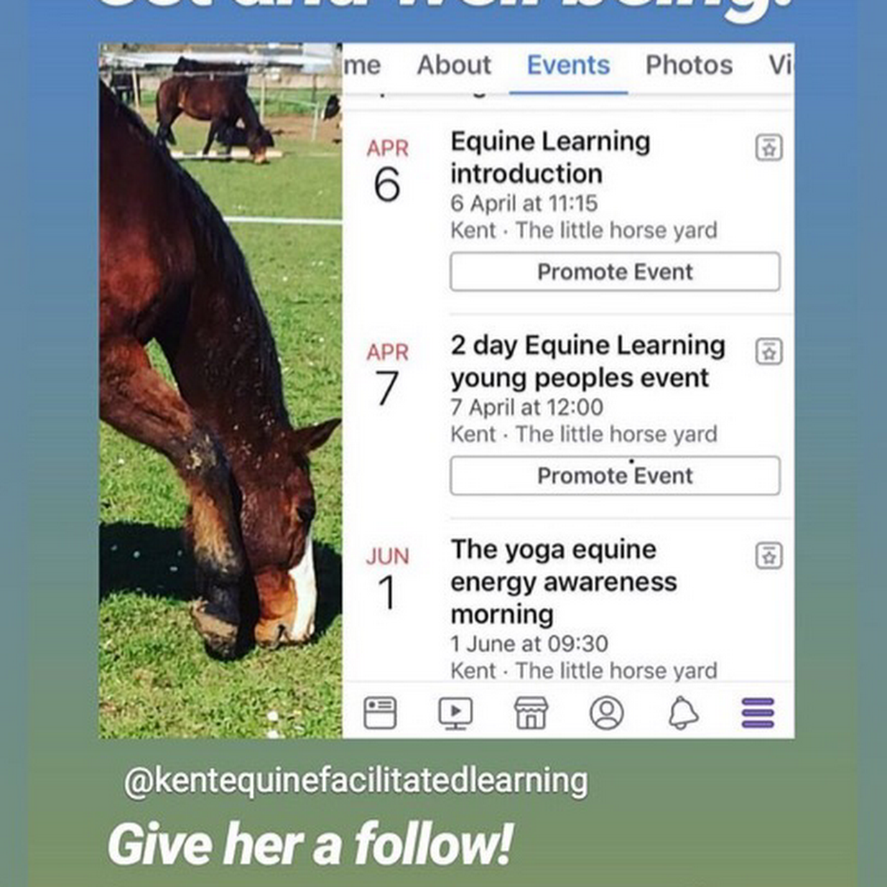 Kent Equine Facilitated Learning Cic Wellness Programme
