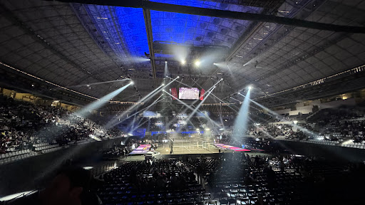 Padel Experience - Visual