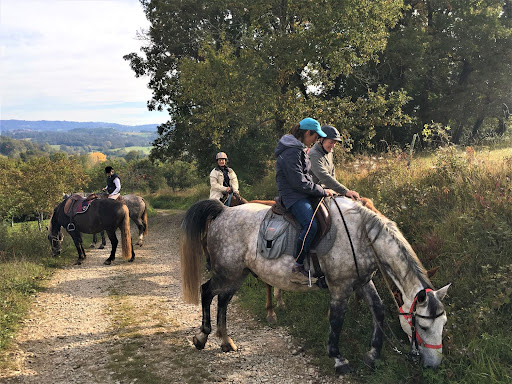 Ranch De Chadenac - Thumbnail