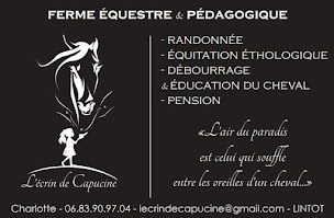 Photo n°8 de Ferme équestre L'écrin de Capucine à Lintot (Centre équestre)