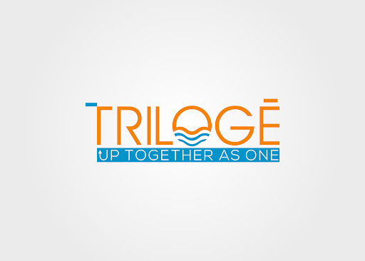 Triloge Inc - Visual