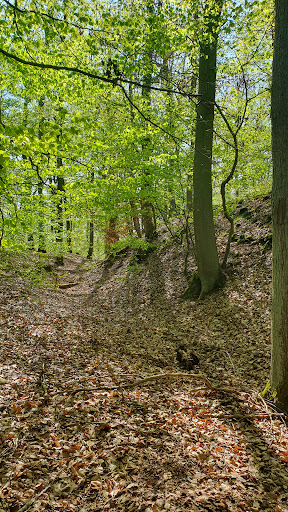 Keltischer Abschnittswall Haidberg