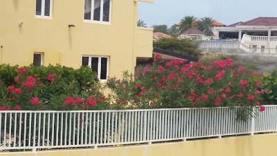 Photos of Bananas Apartments