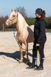 Photo n°6 de Ecurie de Fresnay à Bouvron (Éleveur de chevaux)