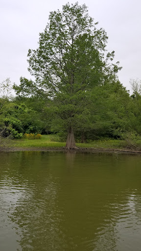 Sunfish Lake Gallery - United States