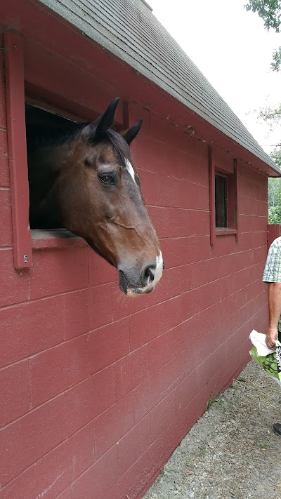 Faith Hill Farm