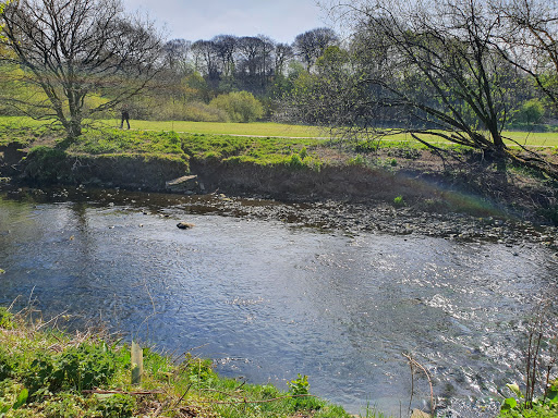Witton Country Park - Thumbnail