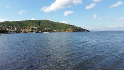 Photos of Este Es Camp