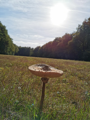 Parkeerplaats Natuurgebied Springendal - Thumbnail