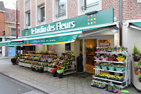Le Jardin des Fleurs à Hazebrouck