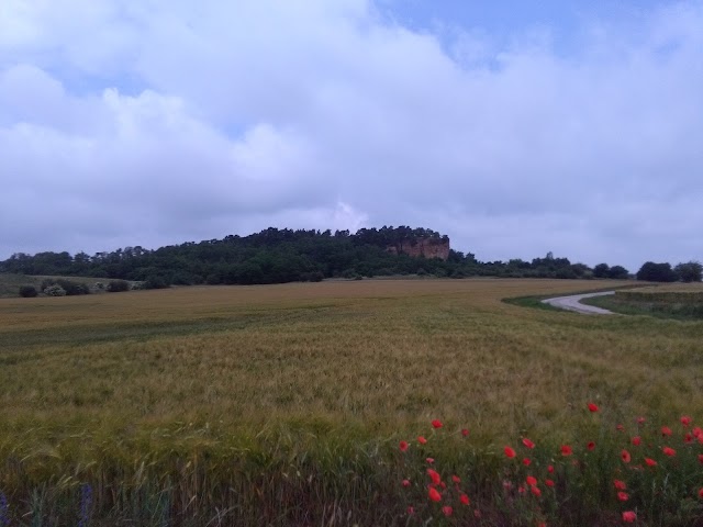 Lehoffelsen