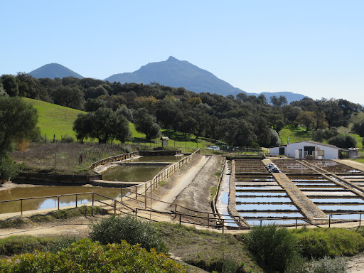 Salinas de Iptuci