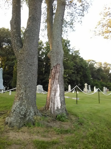 Sargeant Cemetery - Thumbnail