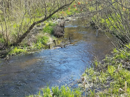Little Plover River Park - Thumbnail