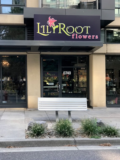 LilyRoot Flowers - Visual