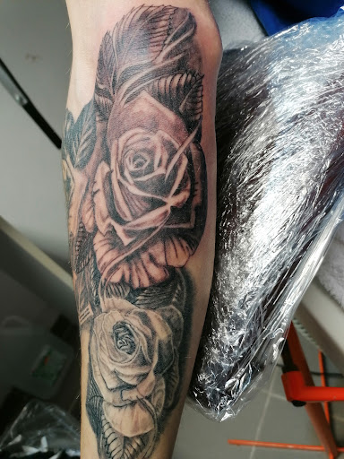 Inked In - Visual