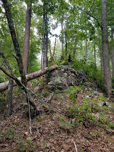 Pink E. Burns Trailhead