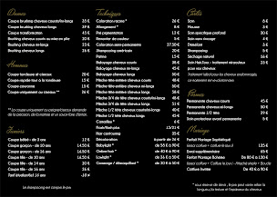 Photo n°22 de Hairstyle’s Studio à Saint-Hilaire (Esthéticien)