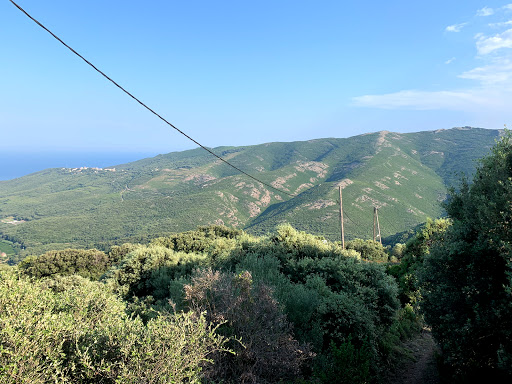 Rovine antico Convento - Thumbnail