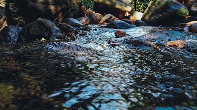 Photos of Udagama Waterfall
