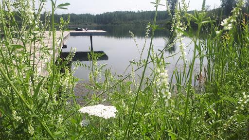 Red Deer Fish and Game Association Habitat Land