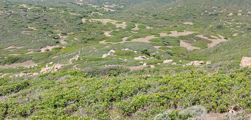 Belvedere di capo Pecora - Thumbnail
