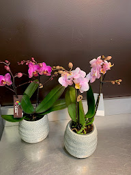 Photo n°11 de Carrément Fleurs - Fleuriste Vernouillet Dreux 28 - Livraison de fleurs à à Vernouillet (Fleuriste)