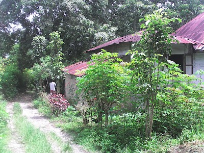 museum