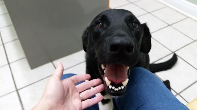 River Bend Veterinary Hospital