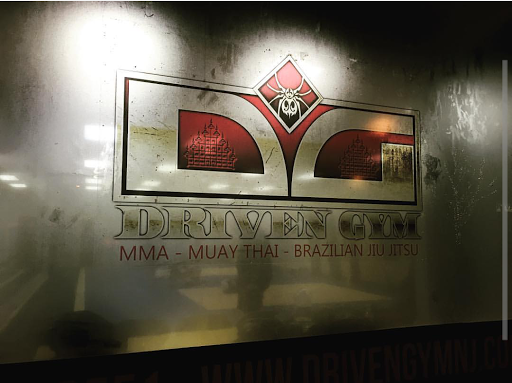 Driven Gym - Visual