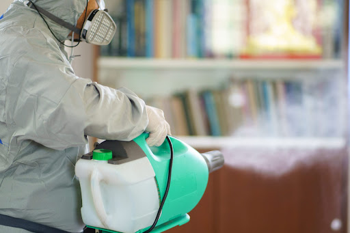 Pest Control & Sanitization Services in Kolkata| Safeguard pest exterminators LLP post image