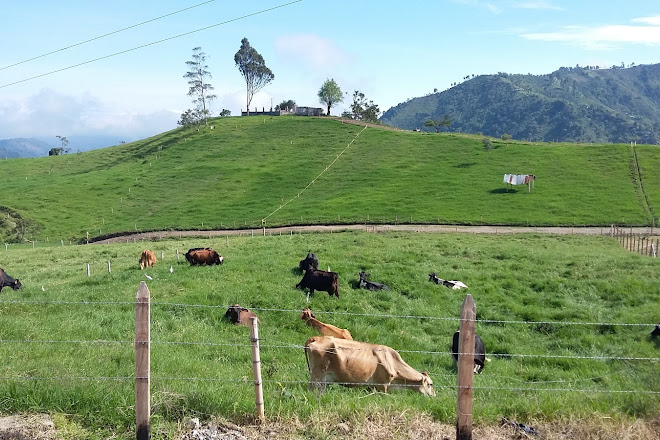 Chorros de Don Lolo, Santa Rosa de Cabal, Colombia