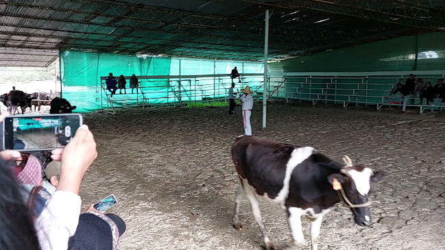 Jirón Silva Santisteban 167, Cajamarca 06002