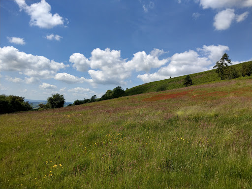 Ragleth Hill - Thumbnail