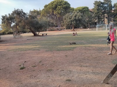 Photos of fitnes park