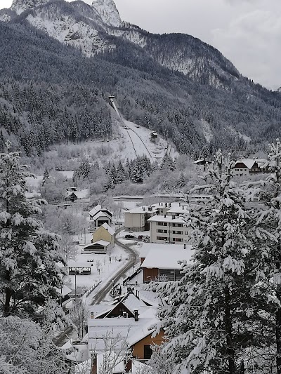 Polisportivo Tarvisio Town