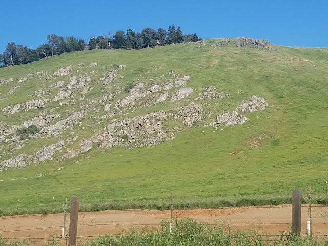 Sequoia National Park - Foothills Visitor Center