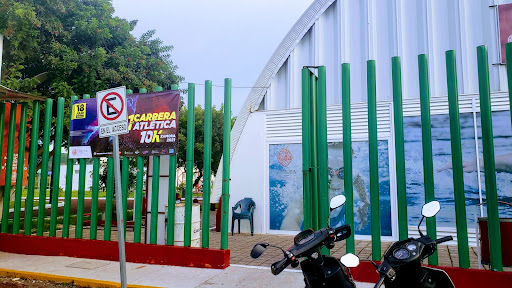 Escuela Municipal De Natacion Y Atletismo - Thumbnail