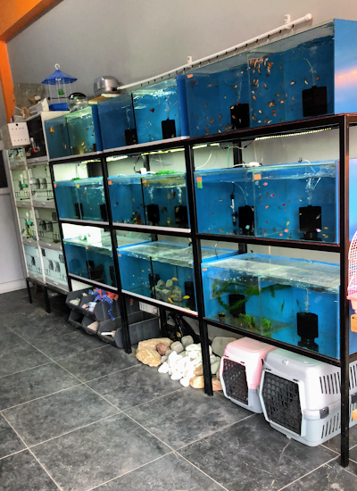 Dere Pet Market (Petshop)