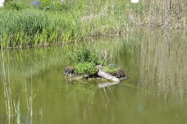 Botanical Garden Munich-Nymphenburg